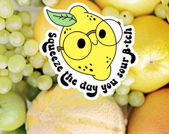 Squeeze the Day You Sour B*tch Lemon Sticker | Funny Sarcastic Pun