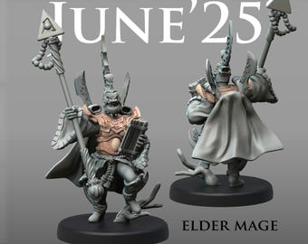 Eldar Lion Guard Battle Force - Oriental - Sci-Fi Grimdark - Resin Miniature