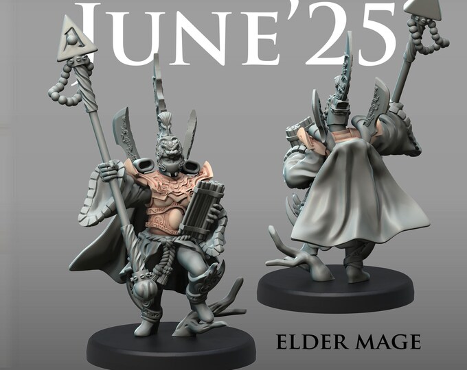 Eldar Lion Guard Battle Force - Oriental - Sci-Fi Grimdark - Resin Miniature