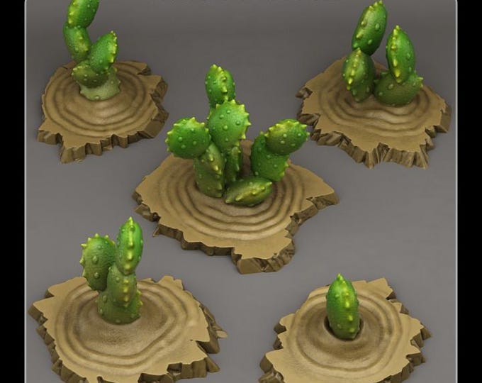 Egyptian Cactuses Wargaming Terrain Objectives | Fantastic Plants and Rocks | PathFinder | Mini | Dungeons and Dragons | Fantasy | RPG