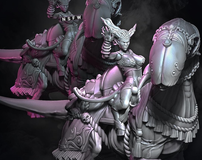 Chaos Demon Succubus (Abyssal Stalkers) Riders of Excess - Unit 2 - Wildmesh - May 25 Tabletop Wargaming for Grimdark OPR Sci-fi
