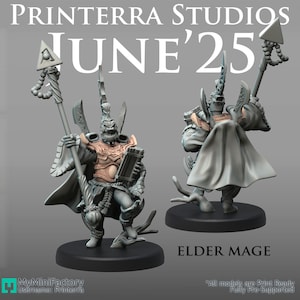Eldar Lion Guard Battle Force - Oriental - Printerra Studios - Tabletop Wargaming Miniatures for Grimdark | OPR | Sci-fi