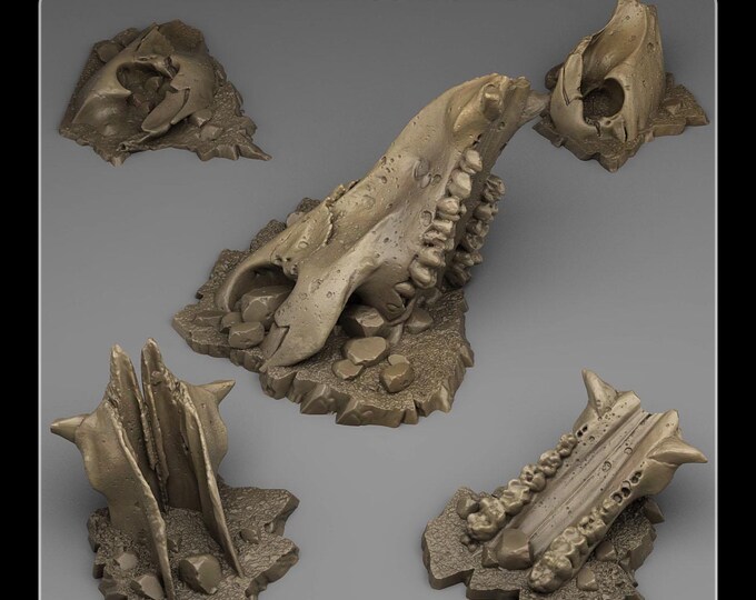 Old Creature Bones - Wargaming Terrain Objectives | Fantastic Plants and Rocks | PathFinder | Mini | Dungeons and Dragons | Fantasy | RPG