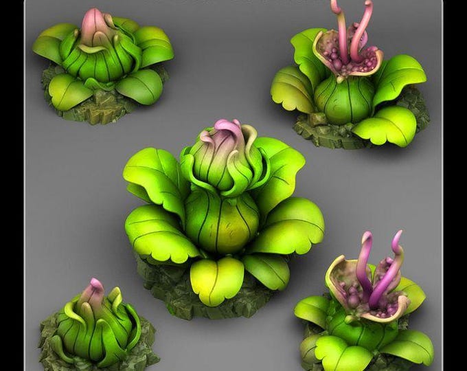 Jungle Carnivorous Plants Scatter Terrain Objectives - Fantastic Plants & Rocks - Fantasy Terrain Set