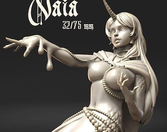 Naia – Dungeons and Maidens Fantasy Character Miniature