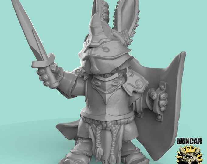 Rabbit Folk Paladin | Duncan Shadow | PathFinder | Mini | Tabletop Wargaming | Dungeons and Dragons | Resin | Fantasy | RPG
