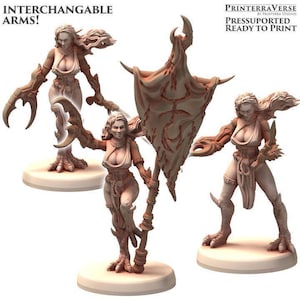 May include: 3D-printed miniature of a female fantasy figure with interchangeable arms. The figure is in a dynamic pose, with detailed armor and clawed limbs. The image includes the text "INTERCHANGEABLE ARMS!" and "PRINTERRAVERSE BY PRINTERRA STUDIOS PRESSUPPORTED READY TO PRINT".