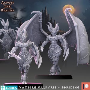 Vampire Valkyrie - Striding - Across the Realms - Tabletop Wargaming for Grimdark | OPR | Sci-fi