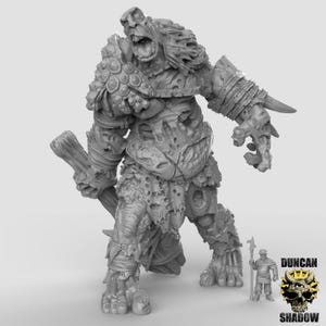 Undead Chaos Titan | Duncan Shadow | PathFinder | Mini | Tabletop Wargaming | Dungeons and Dragons | Resin | Fantasy | RPG