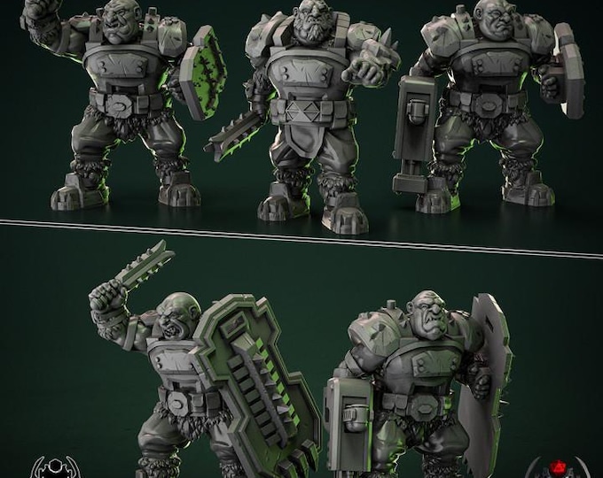 Heavy Ogre Squad IceWind - Eight Legs Miniatures -Tabletop Wargaming Miniature for Grimdark OPR Sci-fi
