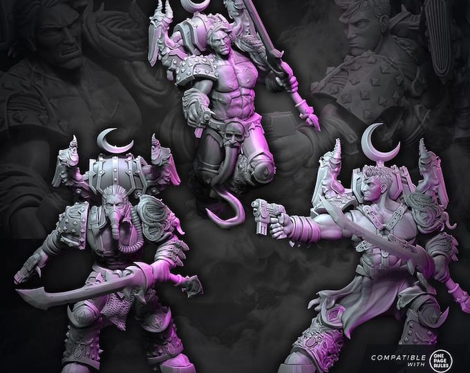 Chaos Excess - Shards of Excess - Grimdark Sci-Fi Fantasy Figure for Tabletop Wargaming & Collectibles, Wildmesh