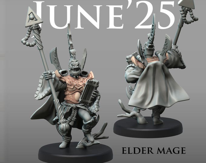 Eldar Lion Guard Battle Force - Oriental - Printerra Studios - Tabletop Wargaming Miniatures for Grimdark | OPR | Sci-fi