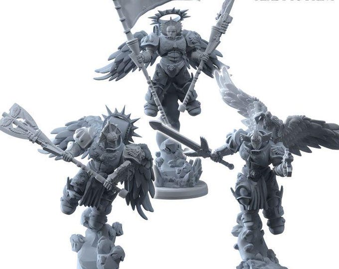 Winged Guard - Sangreal - Printerra Studios - Tabletop Wargaming Miniature for Grimdark | OPR | Sci-fi