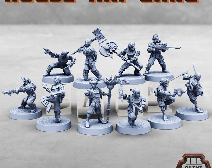 House Aki Gang - Print Minis - Tabletop Wargaming Miniature for Grimdark | OPR | Sci-fi