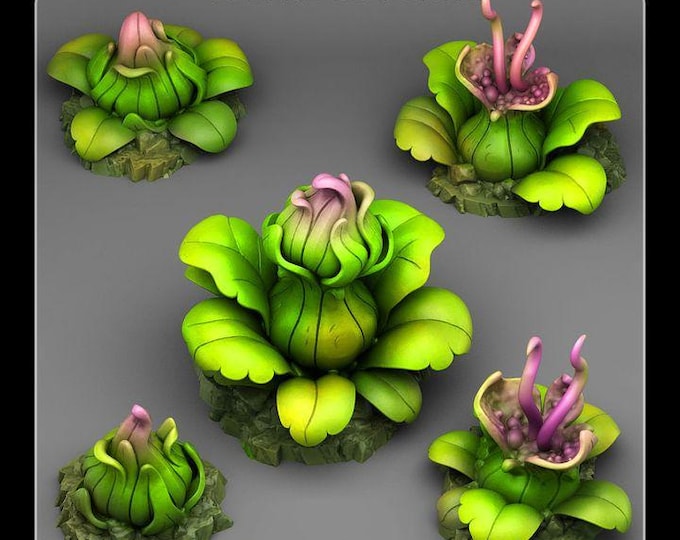 Jungle Carnivorous Plants Scatter Terrain Objectives Fantastic Plants and Rocks | PathFinder | Mini | Dungeons and Dragons Fantasy Grimdark