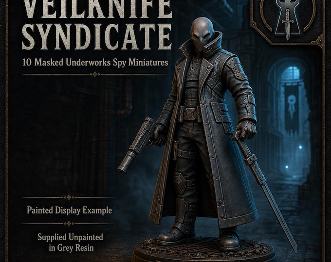 Veilknife Syndicate | Pose 1-10, Random/Specific 5, Full 10 or 20 Sci-Fi Resin Miniatures | HGM Exclusive