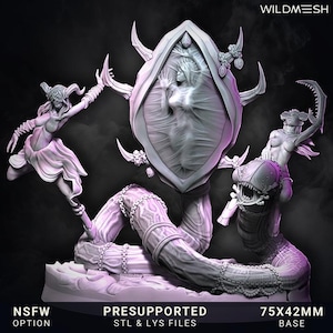 Chaos Demon Succubus Reborn Mirror Minuet Mega Collectors Scene! Chaos of Excess NEW Wildmesh release June25 Tabletop Wargaming for Grimdark