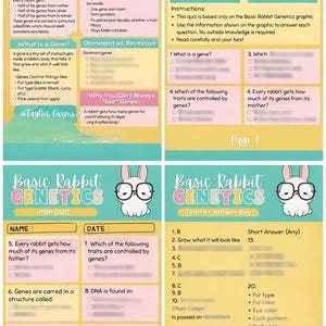 May include: Educational infographic about rabbit genetics, featuring a cartoon rabbit with glasses. The graphic includes sections on genes, traits, and quizzes, with text in a colorful layout. The pages are labeled with titles and questions.