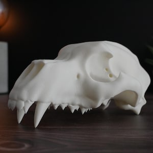 Realistic 3D-Printed Polar Bear Skull Replica - Unique Animal Decor, Perfect for Home, Office, or Gift for Collectors