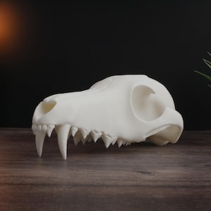 Realistic 3D-Printed Wolf Skull Replica - Unique Animal Decor, Perfect for Home, Office or Gift for Collectors