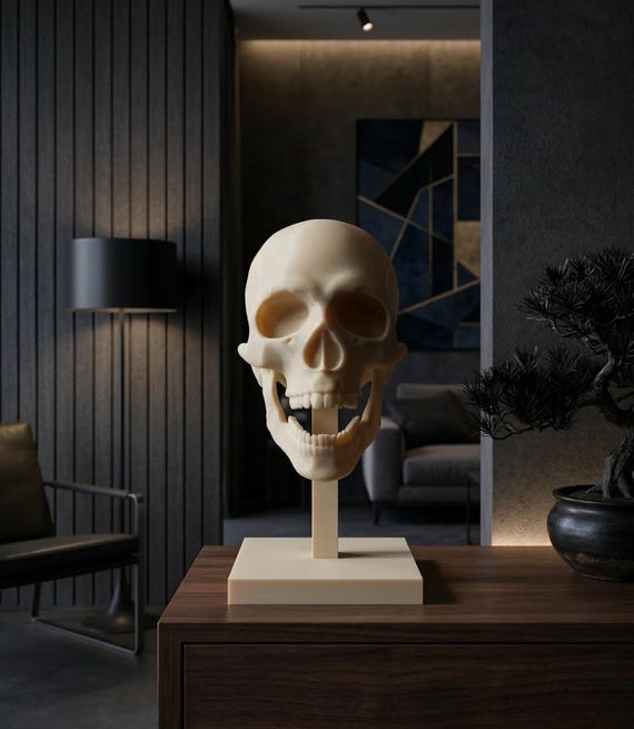 Realistic 3D Printed Human Skull Anatomy Model – Desk Decor, Gothic Office Ornament
