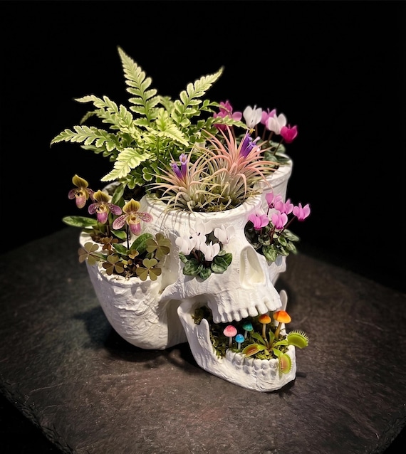 Skull Planter Pot, Gothic Macabre Home Decor, Anatomical Air Plant Holder