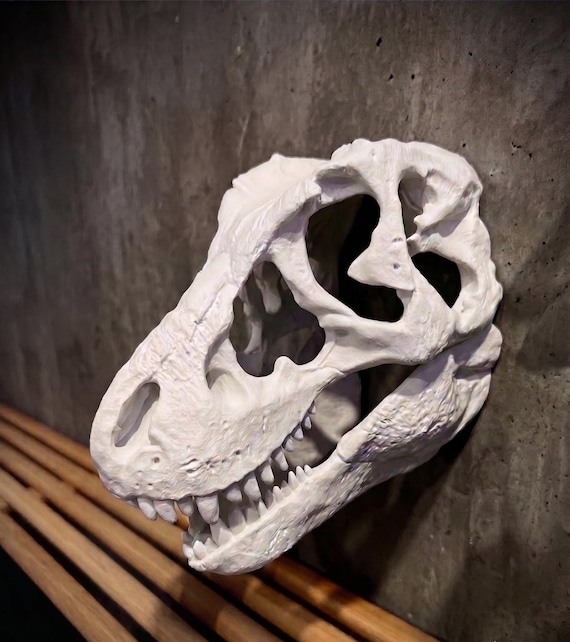 T-Rex Skull Wall Mount, Tyrannosaurus Rex Fossil Replica, Dinosaur Nursery Decor