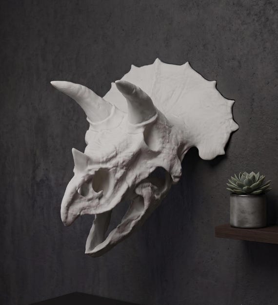 Triceratops Skull Wall Art, Faux Taxidermy Dinosaur Head Mount, Prehistoric Fossil Replica, Jurassic Room Decor, Paleontology Gift