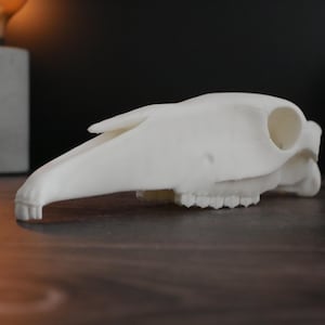 Realistic 3D-printed horse skull replica: unique animal decor, perfect for the home, office, or as a gift for collectors.