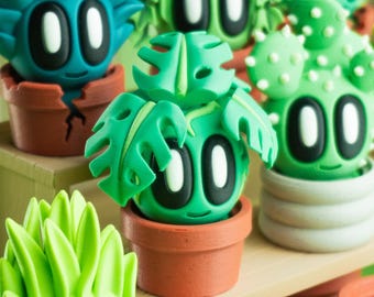 Kai Mini Plants