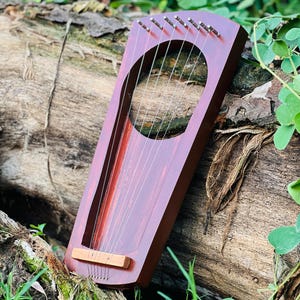 Può includere: Una lira artigianale, marrone rossiccio, con un foro sonoro circolare e sette corde. Lo strumento è fatto di legno e ha un corpo rettangolare. La lira poggia su un tronco stagionato, circondato da fogliame verde.