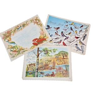 May include: Three vintage educational prints. One features a marine life border with a blank center. Another displays various North American birds. The third print illustrates camouflage in nature.