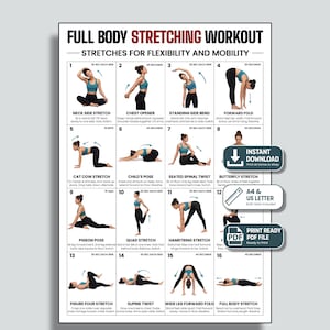 Rutina de estiramientos de cuerpo completo en PDF imprimible, 16 estiramientos ilustrados para flexibilidad y movilidad, póster de estiramientos diarios, entrenamiento en casa.