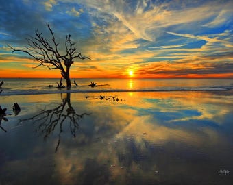 May include: A landscape photograph of a beach at sunset featuring a large, leafless driftwood tree standing in the shallow water. The sky is filled with vibrant orange, yellow, and blue clouds, which are reflected on the wet, sandy shoreline.