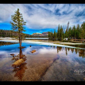 Lone Pine Reflections -High Uinta Wilderness Scenic Lake, Mirror Lake, Wall Art Print,  Western,  Home Decor, with black canvas border.