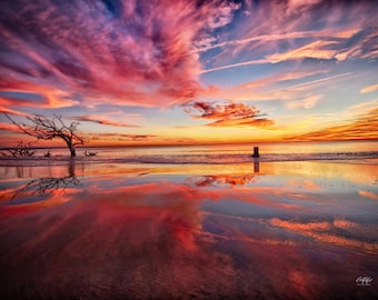 Red Dawn Reflections Canvas Print – Driftwood Beach, Jekyll Island Coastal Decor Art