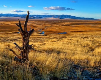 Skull Valley Sunset Canvas Art – Desert Grassland Western Landscape Photography Home Decor