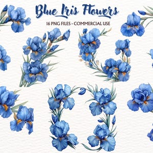 Watercolor Blue Flowers Clipart , Iris Flower Png , Spring Floral Wreath Watercolor Clipart , Border Frame Collection Digital Download