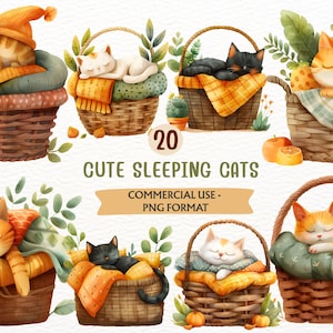 Sleeping Kitten PNG Clipart / Cute Cat Watercolor Painting Clipart / Watercolor Pet Clipart / Baby Animal Printable Bundle Commercial Use