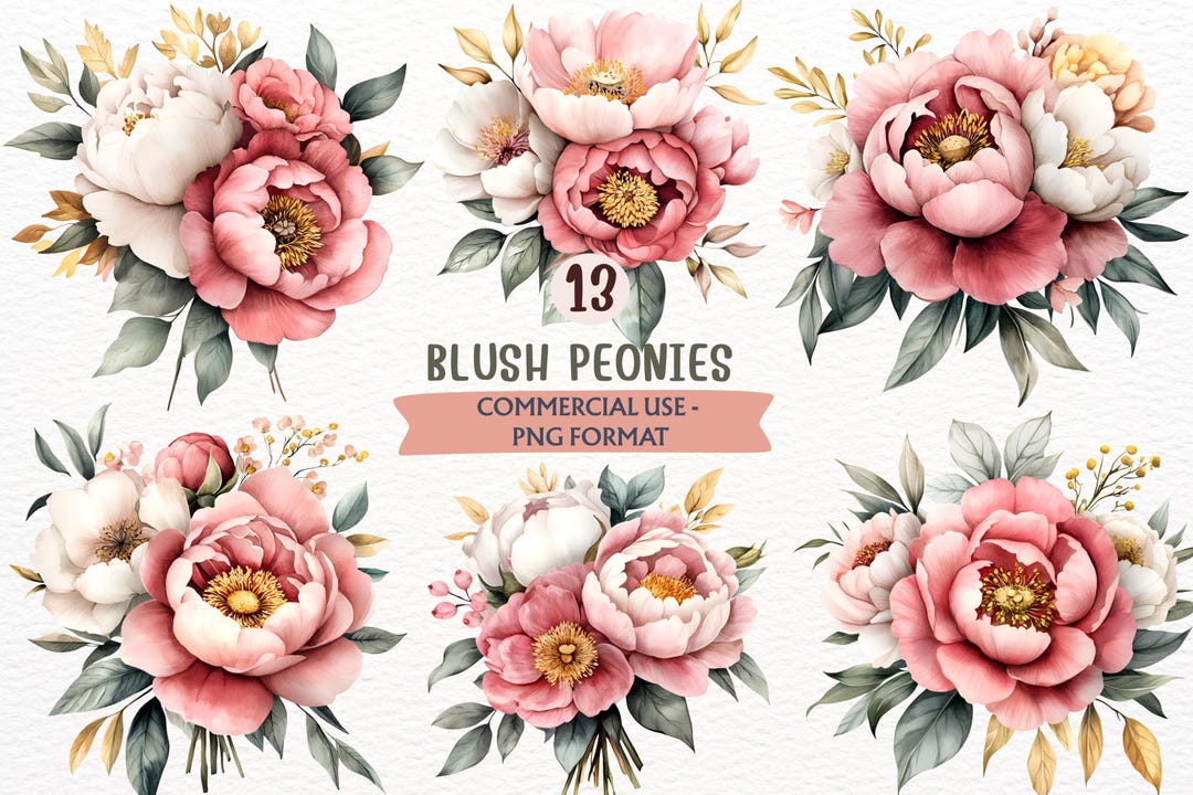 Watercolor Blush Peony, Pink Flower Clipart, Summer Floral, Bouquet ...