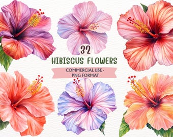 Watercolor Pink Hibiscus, Exotic Flower PNG Clipart, Tropical Floral Bundle (Digital Download, Commercial Use)