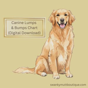 Dog Lumps & Bumps Body Map (Digital Download)
