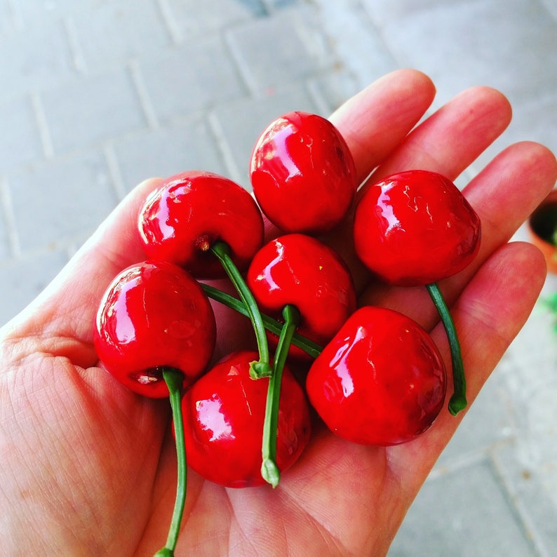 May include: A hand holding a group of eight red cherries. The cherries are arranged in a circle, with the stems pointing outwards.