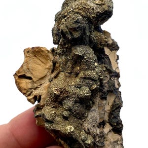 80 grams unikt stort exemplar! Sällsynt naturlig gyllene pyrit med markasit på matrisprov @PAKISTAN Minerals Collectors/Visa prov