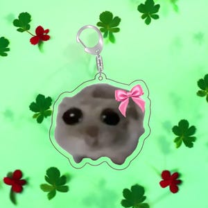 Divertido llavero de hámster con meme: bonito llavero de acrílico con dibujos animados: regalo para jugadores y amigos