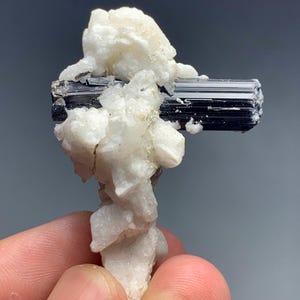 May include: A mineral specimen showing a black tourmaline crystal cluster with a white, crystalline matrix. The tourmaline is a dark, shiny black, and the matrix is a contrasting white. The specimen is held in a hand against a grey background.