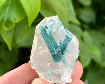 119 Carats Indicolite Tourmaline Crystals Specimen / Natural Indicolite Tourmaline Crystals with Quartz from Afghanistan.