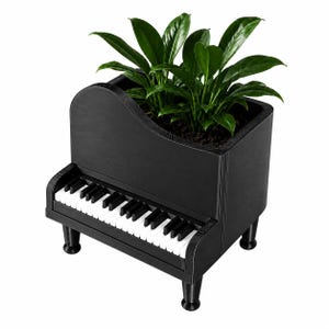 May include: A black piano-shaped planter featuring a keyboard with white and black keys on the front. The top section is open and contains a green leafy plant growing from dark soil. The structure is supported by three small, rounded legs.