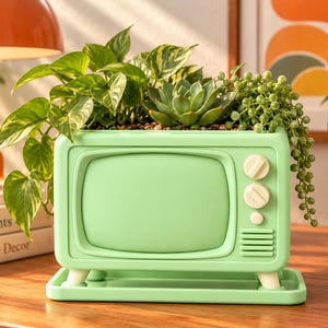 May include: A light green television-shaped planter with two cream-colored knobs and a speaker grille. The planter holds a variety of green plants, including a trailing string of pearls, a succulent, and a pothos vine, resting on a matching tray.