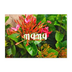 Carte de voeux - Mama Love is Beautiful - Fleurs roses corail tropicales printanières - Photographie originale